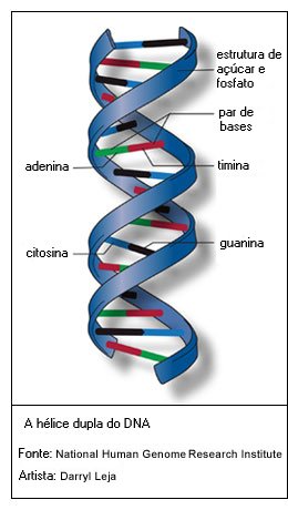double helix DNA